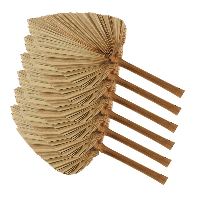 Palm Leaf Dried - 6PCS Dried Palm Leaves Natural Dried