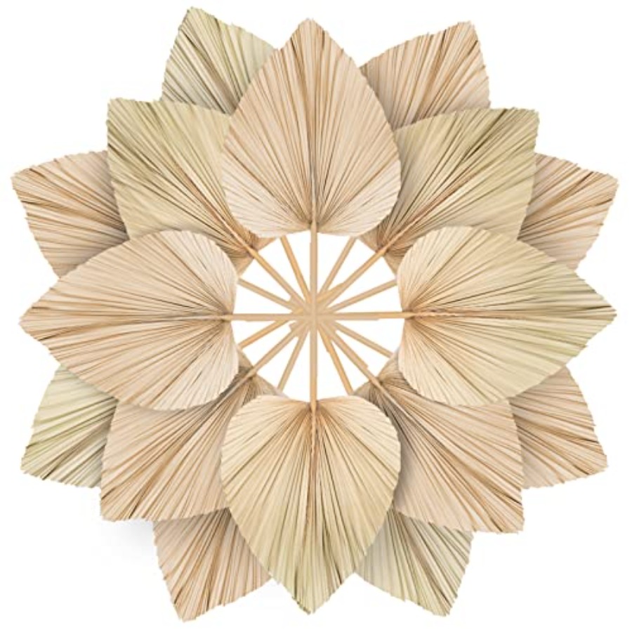 10 Large Bulk Boho Dried Palm  - Palm Leaf Dried avis et prix