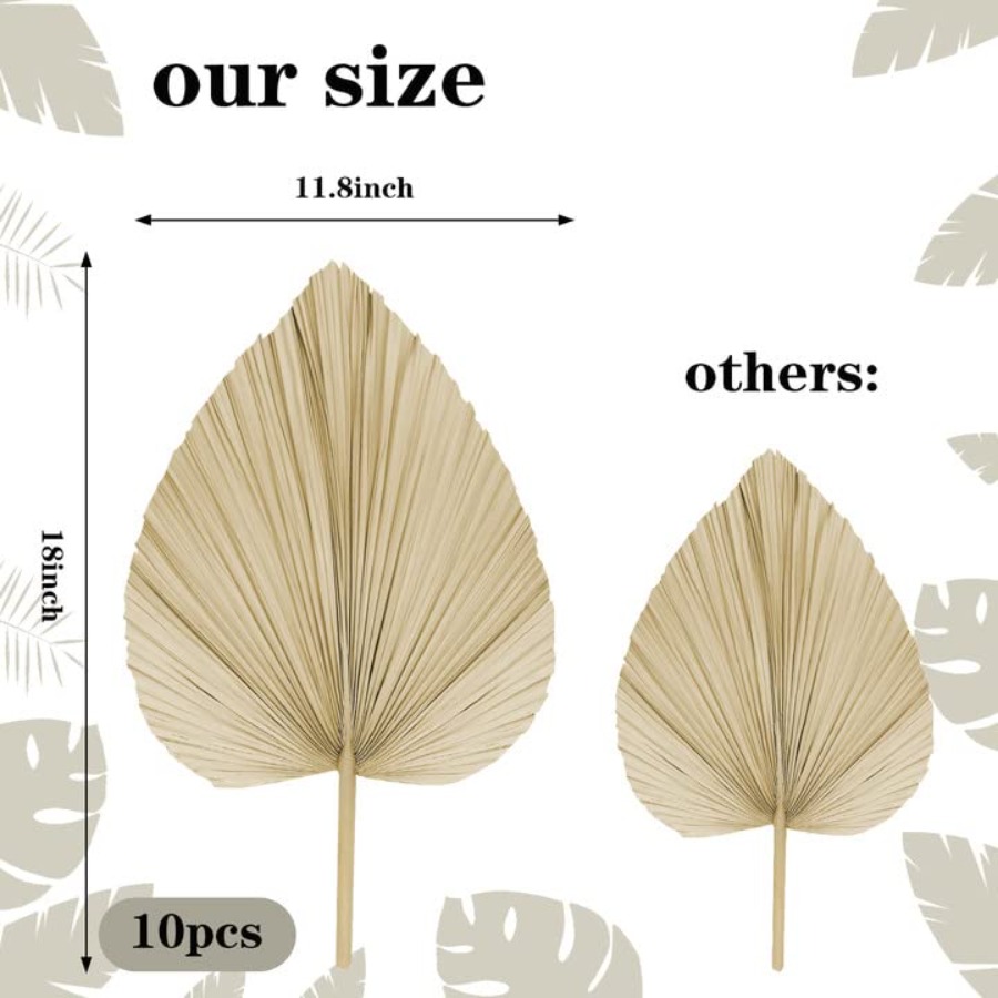 10 Large Bulk Boho Dried Palm  - Palm Leaf Dried avis et prix