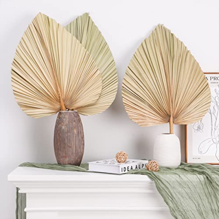 10 Large Bulk Boho Dried Palm  - Palm Leaf Dried avis et prix