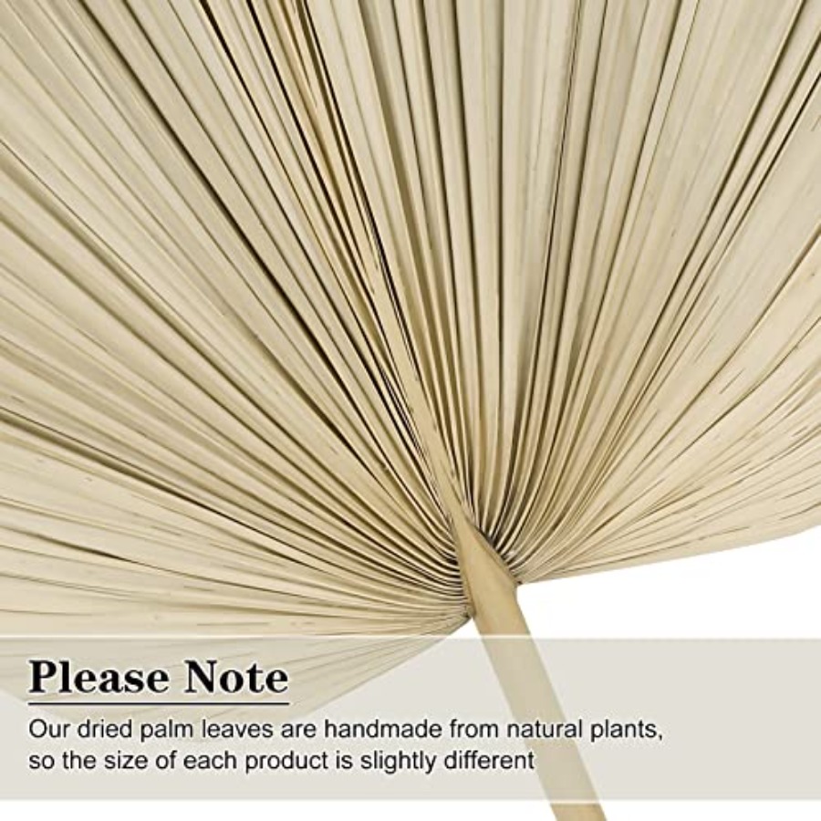 10 Large Bulk Boho Dried Palm  - Palm Leaf Dried avis et prix