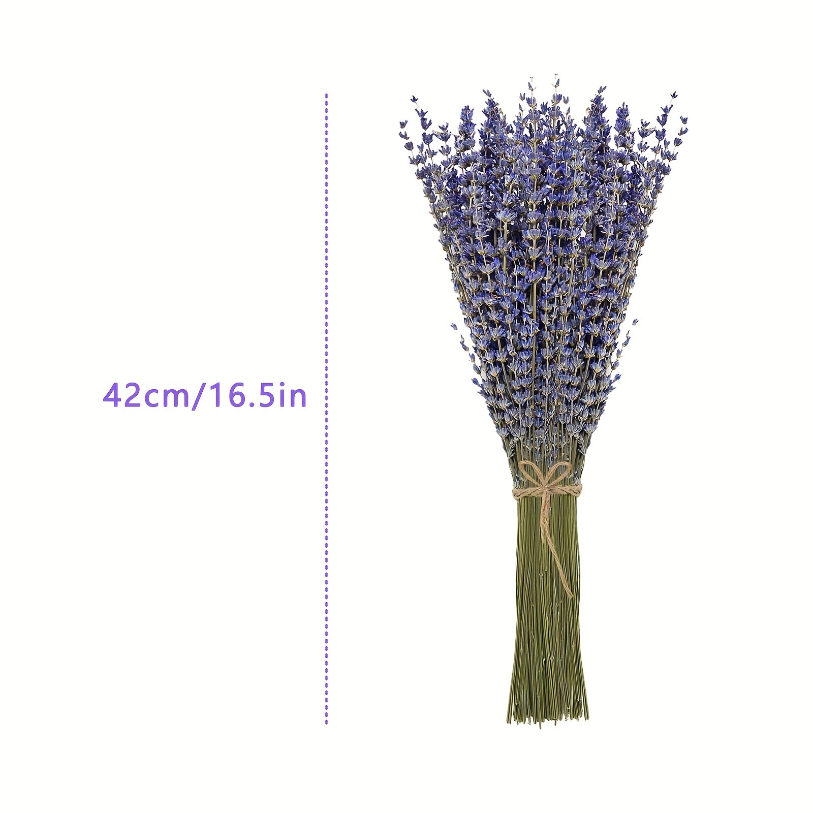200pcs/Bunch Lavender Dried Fl - Dried Flower Bunch avis et prix