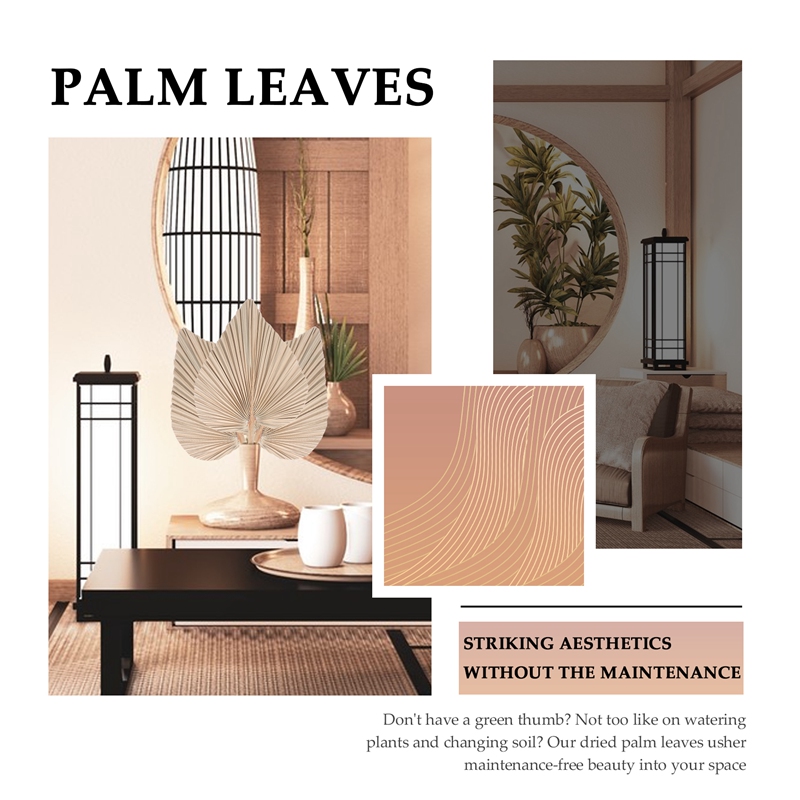 5 Pieces Natural Dried Palm Le - Palm Leaf Dried avis et prix