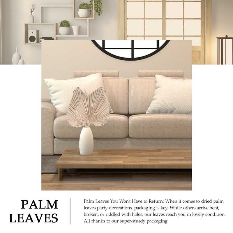 5 Pieces Natural Dried Palm Le - Palm Leaf Dried avis et prix