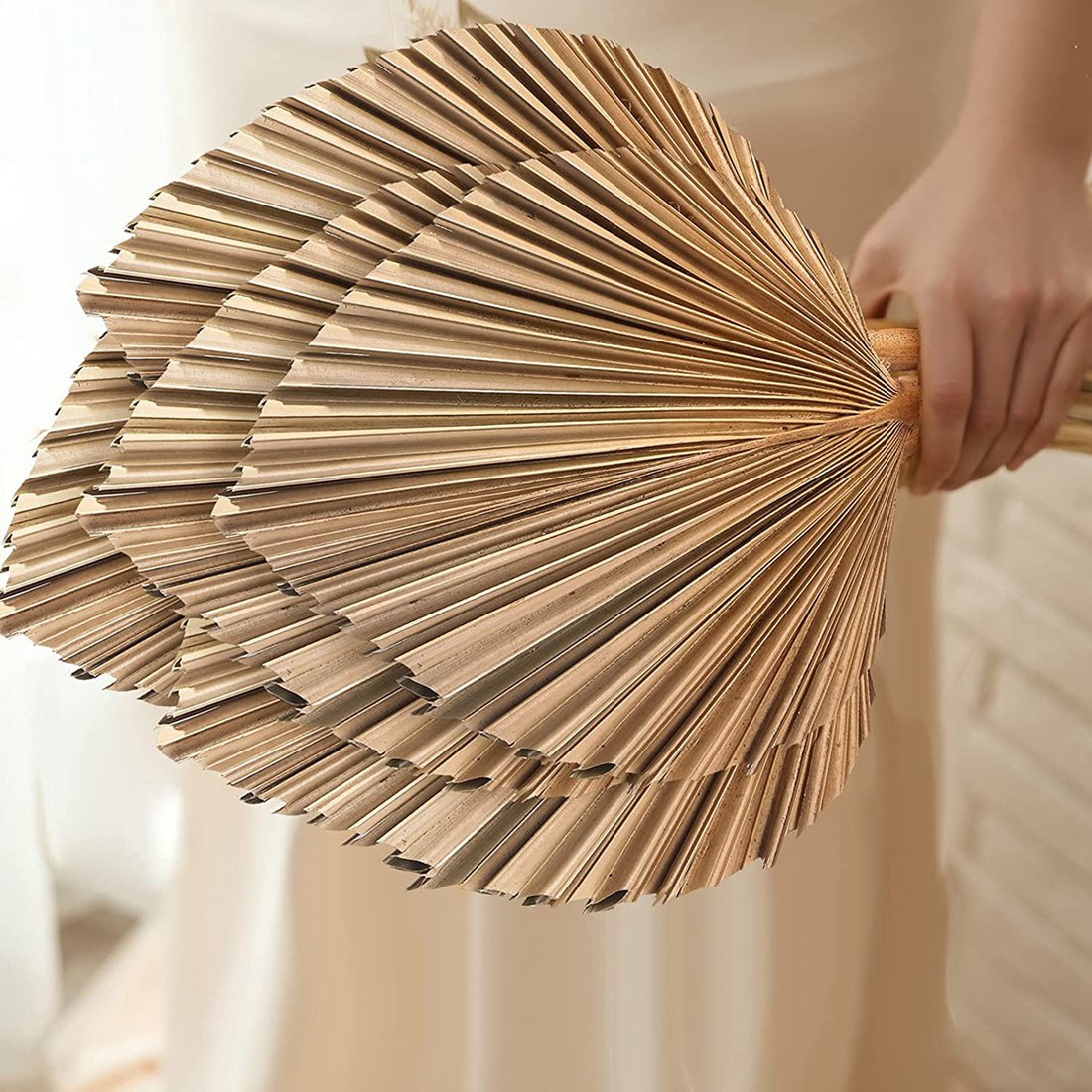5Pcs Natural Dried Palm Leaves - Palm Leaf Dried avis et prix