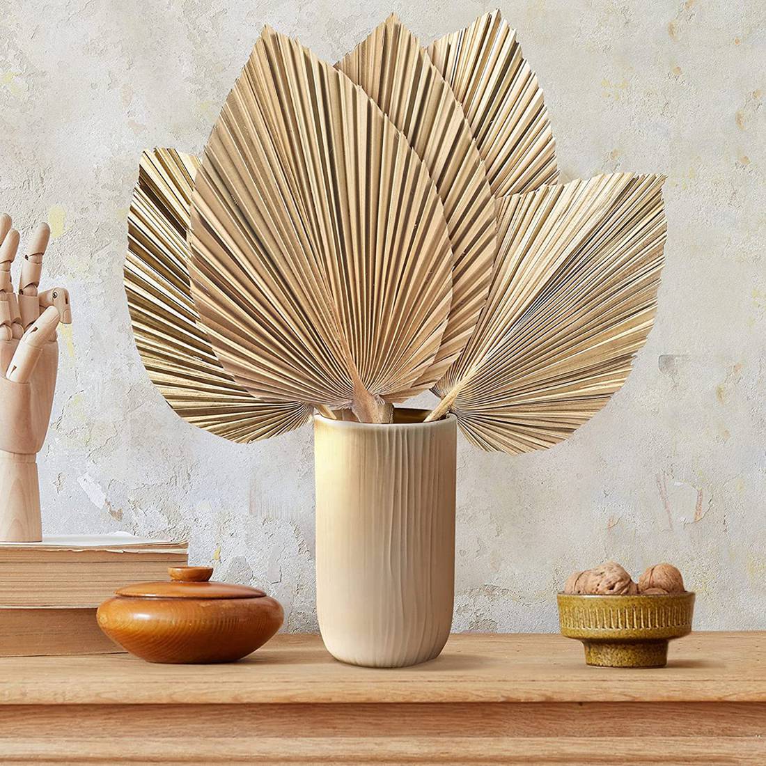 5Pcs Natural Dried Palm Leaves - Palm Leaf Dried avis et prix