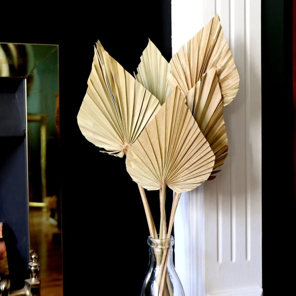 2PCS Palm Fan Leaf Dried Flowe - Palm Leaf Dried avis et prix