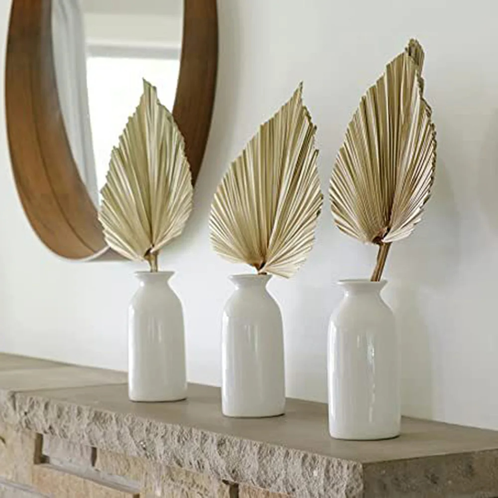 2PCS Palm Fan Leaf Dried Flowe - Palm Leaf Dried avis et prix