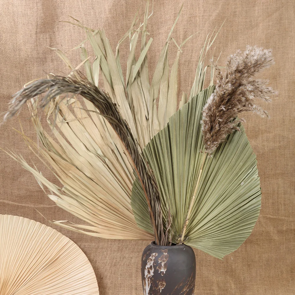 2PCS Palm Fan Leaf Dried Flowe - Palm Leaf Dried avis et prix
