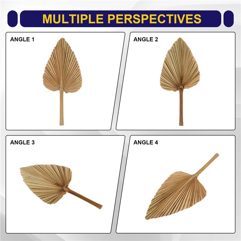6PCS Dried Palm Leaves Natural - Palm Leaf Dried avis et prix