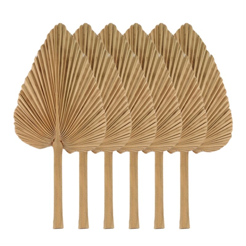 AT84-6PCS Dried Palm Leaves Na - Palm Leaf Dried avis et prix