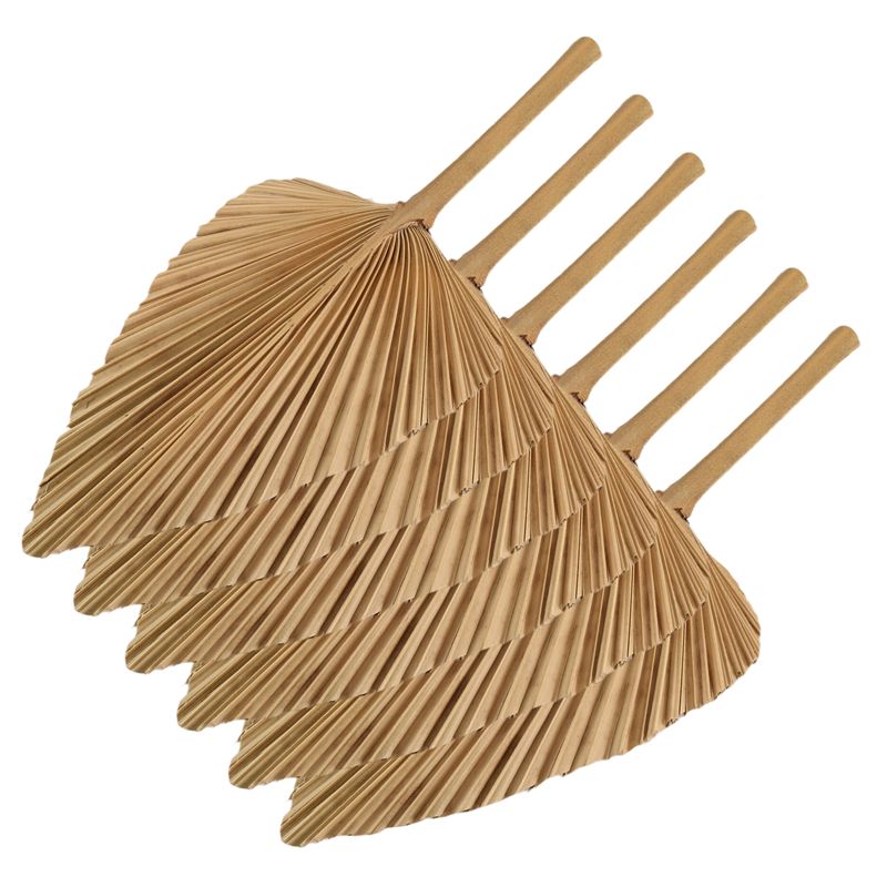 AT84-6PCS Dried Palm Leaves Na - Palm Leaf Dried avis et prix