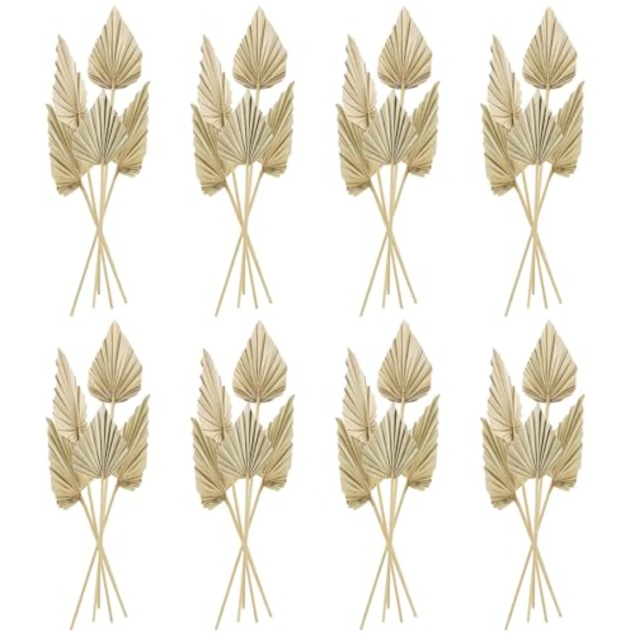 Cenkaiyang 40 Pcs Boho Dried P - Palm Leaf Dried avis et prix