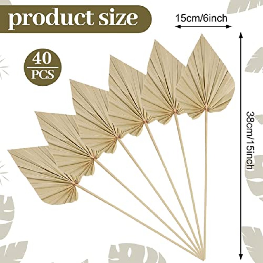 Cenkaiyang 40 Pcs Boho Dried P - Palm Leaf Dried avis et prix