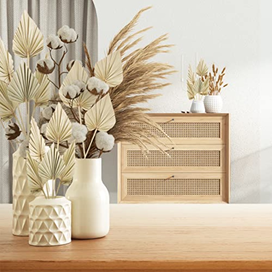 Cenkaiyang 40 Pcs Boho Dried P - Palm Leaf Dried avis et prix