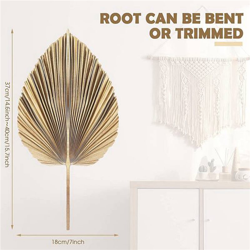 【CHRISTMAS 】24PCS Dried Palm L - Palm Leaf Dried avis et prix
