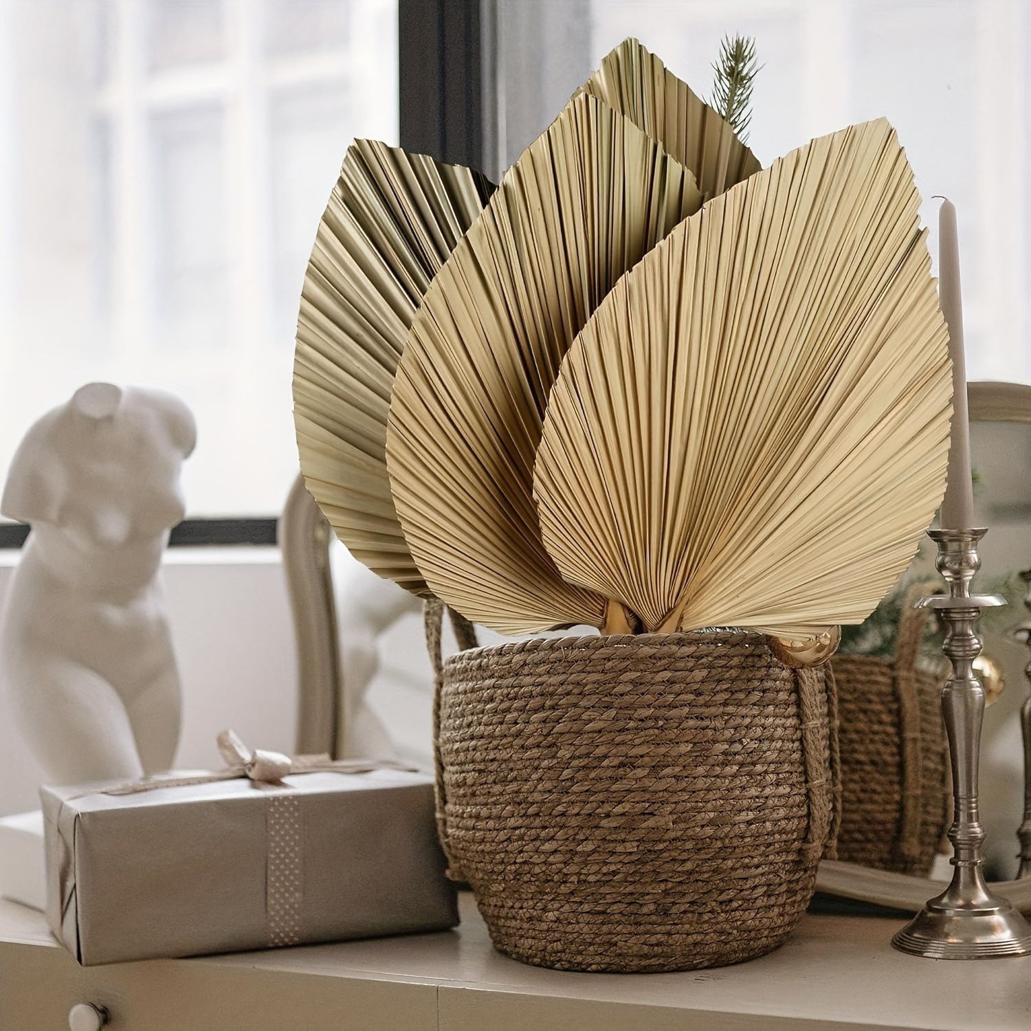 3 PCS Natural Dried Palm Leave - Palm Leaf Dried avis et prix
