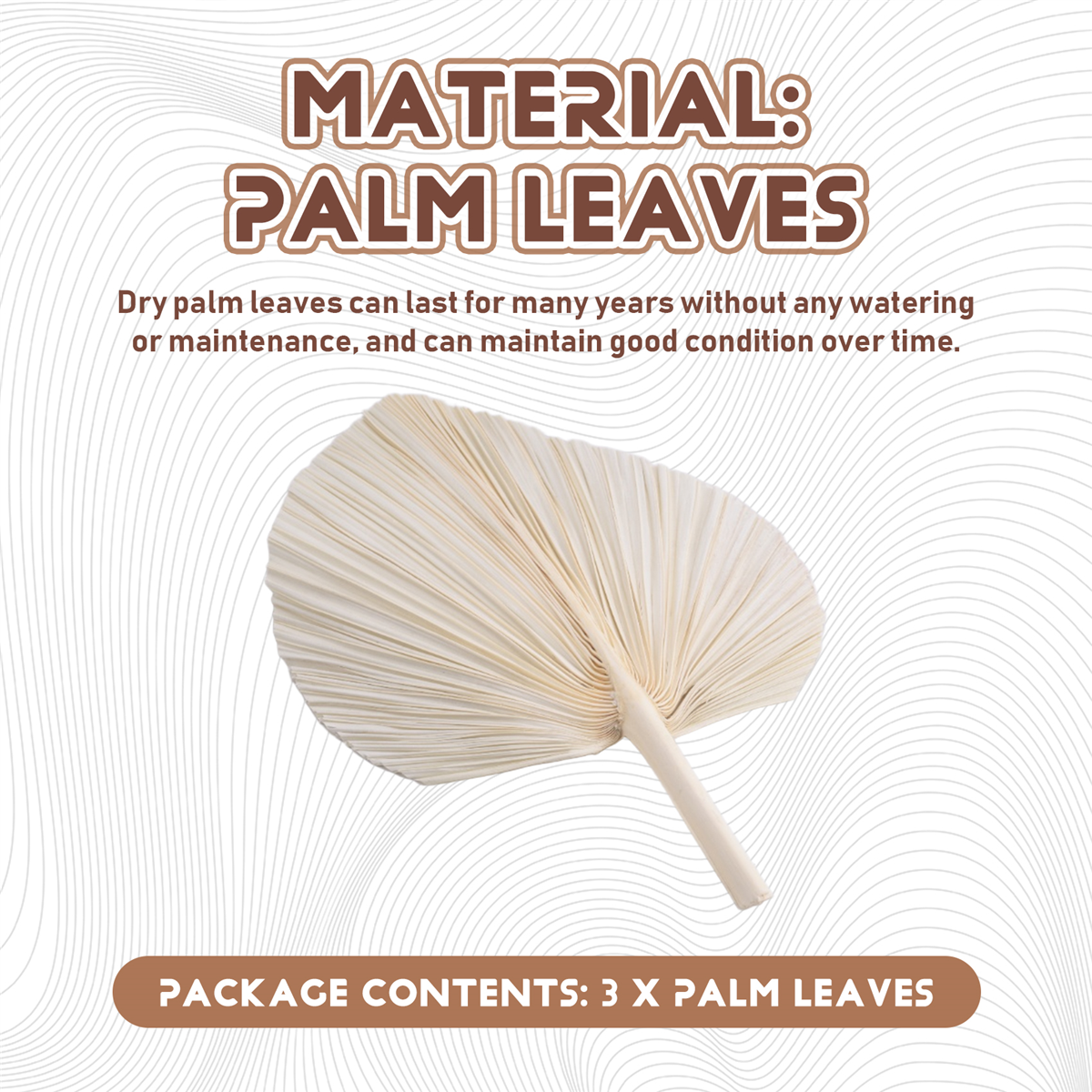 Qualitative Large White Dried  - Palm Leaf Dried avis et prix