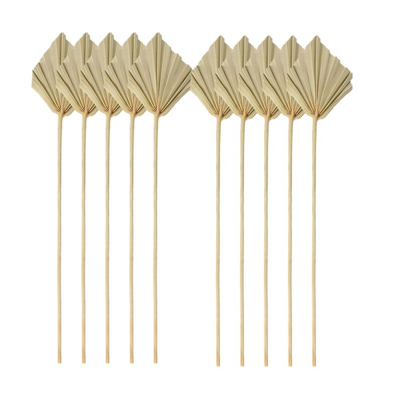 TFORU-Boho Dried Palm Spears S - Palm Leaf Dried avis et prix