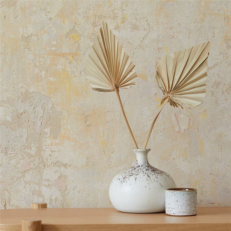 TFORU-Boho Dried Palm Spears S - Palm Leaf Dried avis et prix
