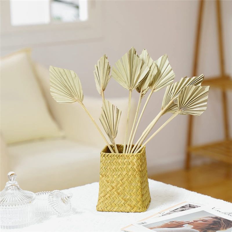 TFORU-Boho Dried Palm Spears S - Palm Leaf Dried avis et prix