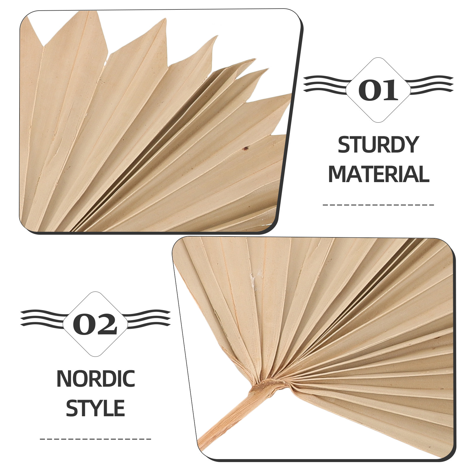 4Pcs Dried Palm Leaf Decoratio - Palm Leaf Dried avis et prix