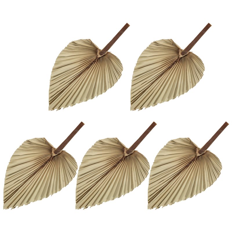 SEWS-5Pcs Natural Dried Palm L - Palm Leaf Dried avis et prix