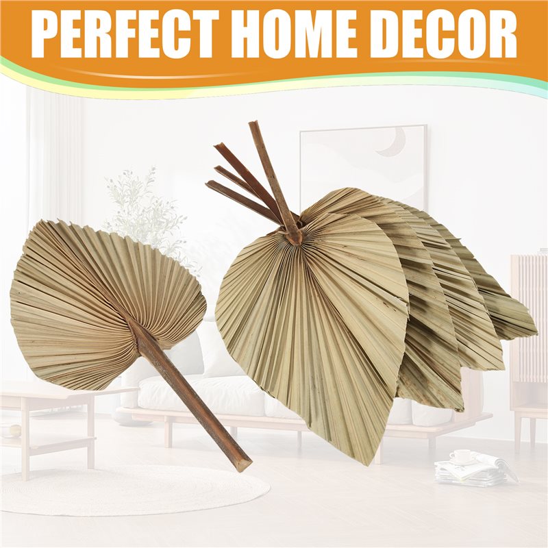 SEWS-5Pcs Natural Dried Palm L - Palm Leaf Dried avis et prix