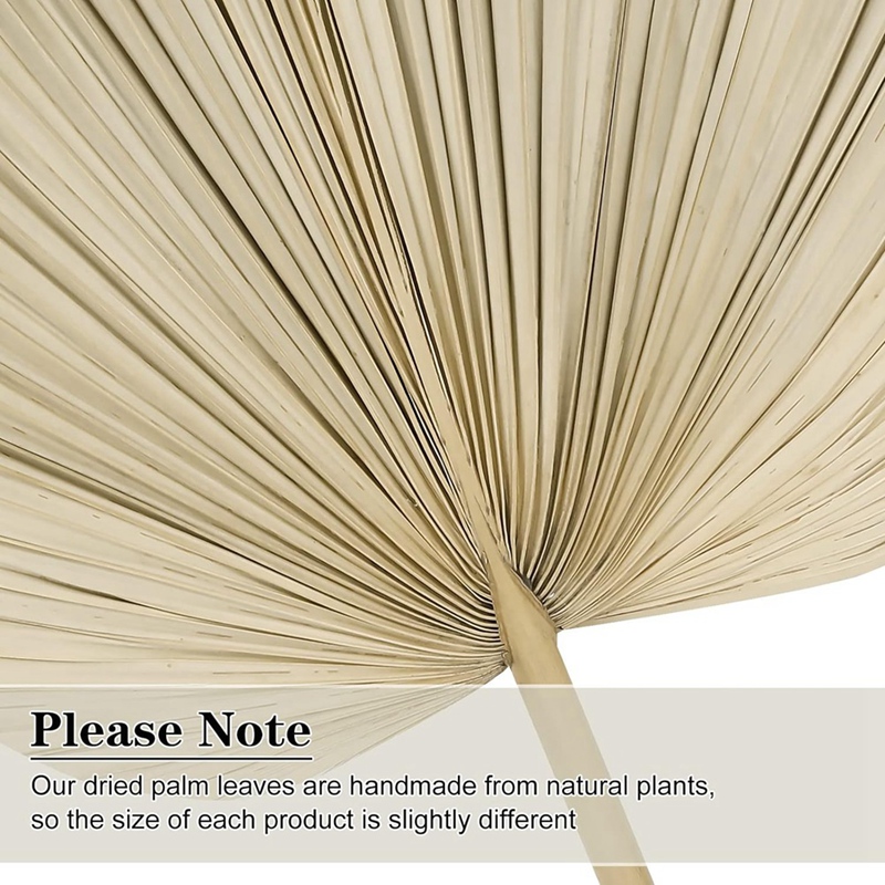 New 6PCS Dried Palm Leaves Nat - Palm Leaf Dried avis et prix