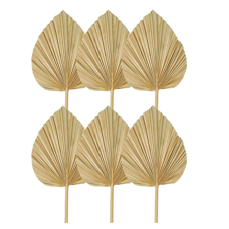 New 6PCS Dried Palm Leaves Nat - Palm Leaf Dried avis et prix