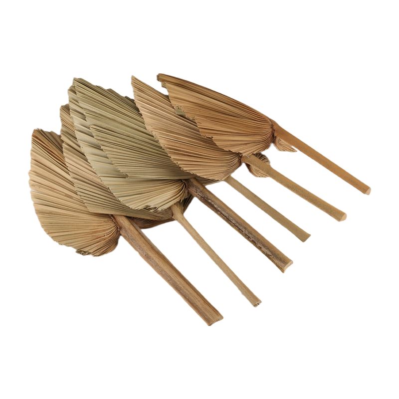 ABKO-6PCS Dried Palm Leaves Na - Palm Leaf Dried avis et prix
