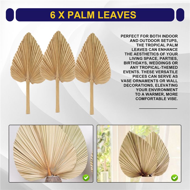 ABKO-6PCS Dried Palm Leaves Na - Palm Leaf Dried avis et prix