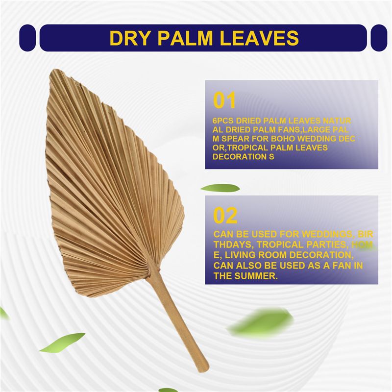 ABKO-6PCS Dried Palm Leaves Na - Palm Leaf Dried avis et prix