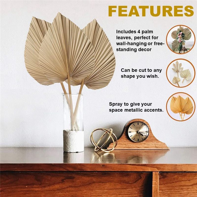 Fresh 4 Pieces Natural Dried P - Palm Leaf Dried avis et prix