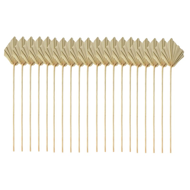 HLZS-Boho Dried Palm Spears Sm - Palm Leaf Dried avis et prix