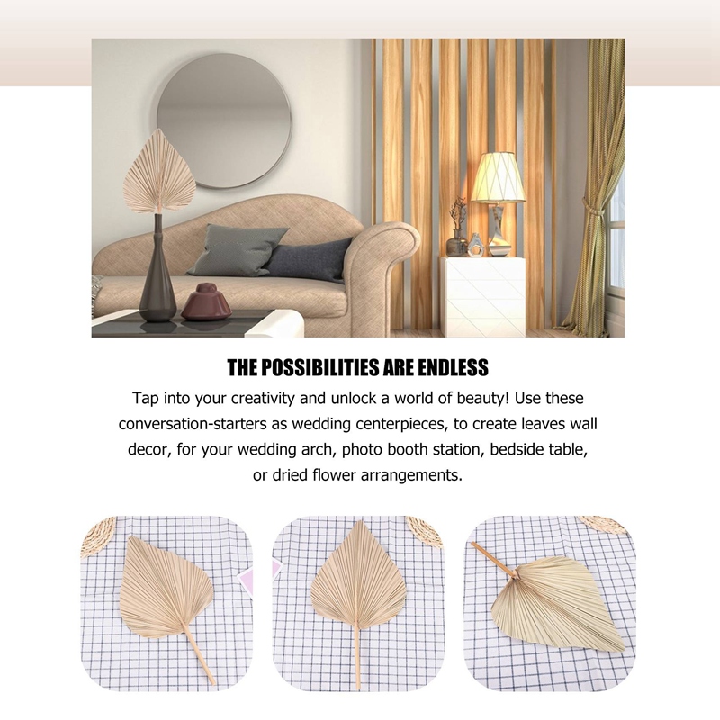 Dried Palm Leaves Room Decor 5 - Palm Leaf Dried avis et prix